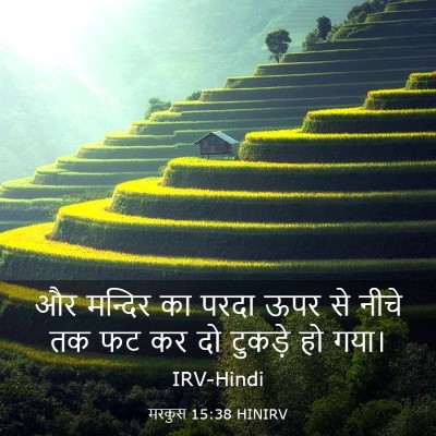 Picture 03 - मरकुस 15:38 HINIRV - और मन्दिर का परदा - Bible Verse Picture