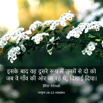 Picture 03 - मरकुस 16:12 HINIRV - इसके बाद वह दूसरे - Bible Verse Picture