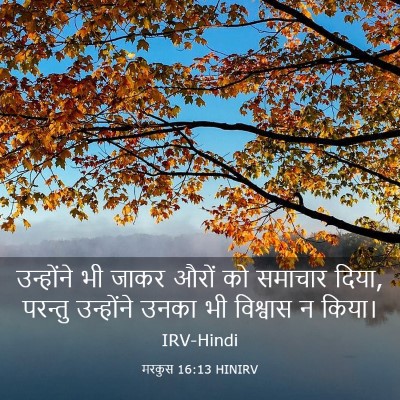 Picture 03 - मरकुस 16:13 HINIRV - उन्होंने भी जाकर - Bible Verse Picture