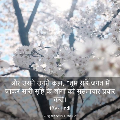Picture 03 - मरकुस 16:15 HINIRV - और उसने उनसे कहा, - Bible Verse Picture