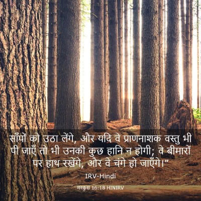 Picture 03 - मरकुस 16:18 HINIRV - साँपों को उठा - Bible Verse Picture