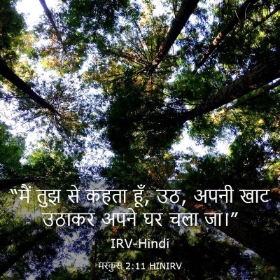 Picture 03 - मरकुस 2:11 HINIRV - “मैं तुझ से कहता - Bible Verse Picture