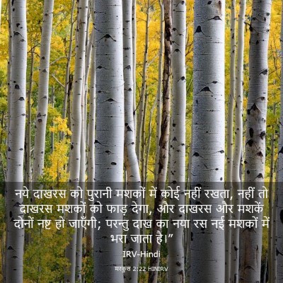 Picture 03 - मरकुस 2:22 HINIRV - नये दाखरस को - Bible Verse Picture