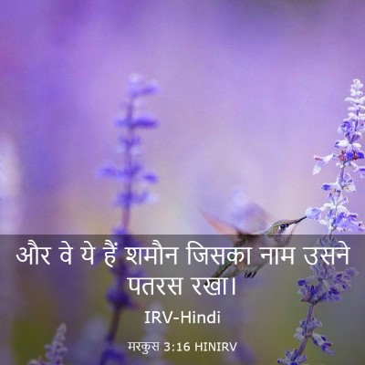 Picture 03 - मरकुस 3:16 HINIRV - और वे ये हैं शमौन - Bible Verse Picture