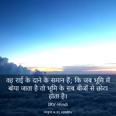 Picture 03 - मरकुस 4:31 HINIRV - वह राई के दाने के - Bible Verse Picture