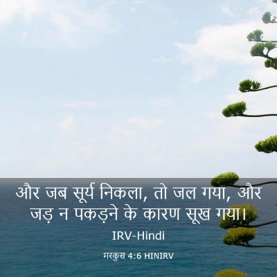 Picture 03 - मरकुस 4:6 HINIRV - और जब सूर्य निकला, - Bible Verse Picture