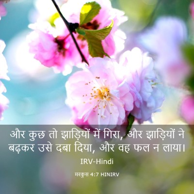 Picture 03 - मरकुस 4:7 HINIRV - और कुछ तो झाड़ियों - Bible Verse Picture