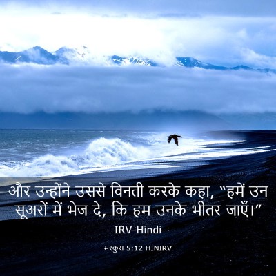 Picture 03 - मरकुस 5:12 HINIRV - और उन्होंने उससे - Bible Verse Picture