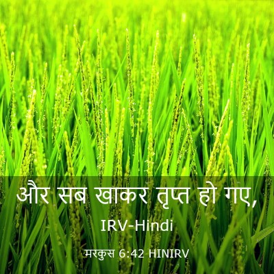 Picture 03 - मरकुस 6:42 HINIRV - और सब खाकर तृप्त हो - Bible Verse Picture