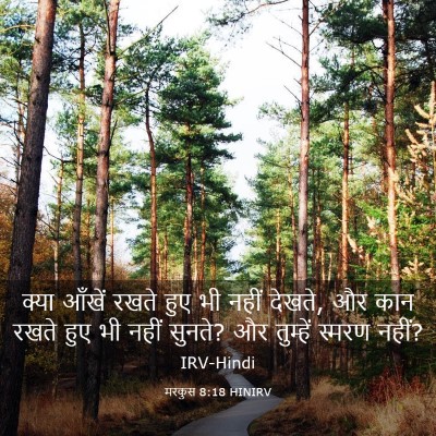 Picture 03 - मरकुस 8:18 HINIRV - क्या आँखें रखते - Bible Verse Picture