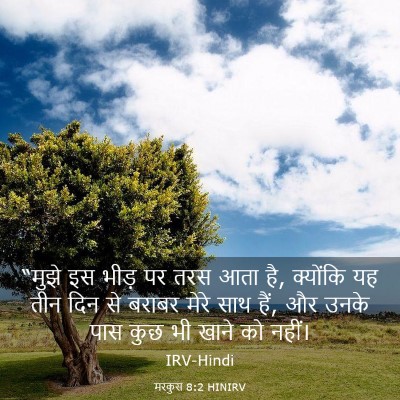 Picture 03 - मरकुस 8:2 HINIRV - “मुझे इस भीड़ पर - Bible Verse Picture