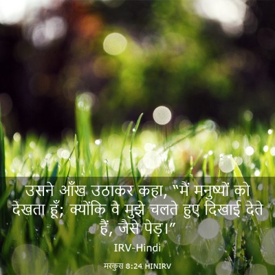 Picture 03 - मरकुस 8:24 HINIRV - उसने आँख उठाकर कहा, - Bible Verse Picture