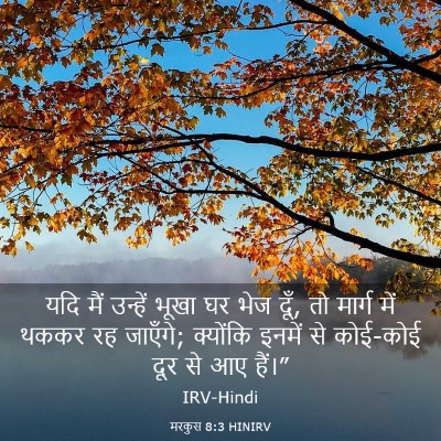 Picture 03 - मरकुस 8:3 HINIRV - यदि मैं उन्हें - Bible Verse Picture
