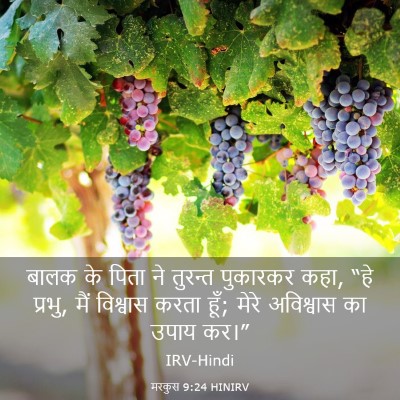 Picture 03 - मरकुस 9:24 HINIRV - बालक के पिता ने - Bible Verse Picture