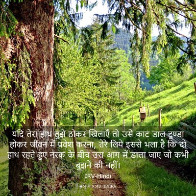Picture 03 - मरकुस 9:43 HINIRV - यदि तेरा हाथ तुझे - Bible Verse Picture