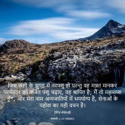 Picture 03 - मलाकी 1:14 HINIRV - जिस छली के झुण्ड - Bible Verse Picture