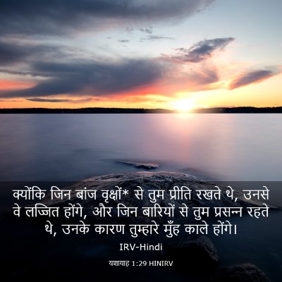 Picture 03 - यशायाह 1:29 HINIRV - क्योंकि जिन बांज - Bible Verse Picture