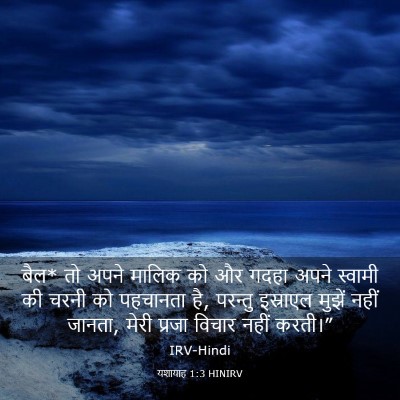 Picture 03 - यशायाह 1:3 HINIRV - बैल* तो अपने मालिक - Bible Verse Picture