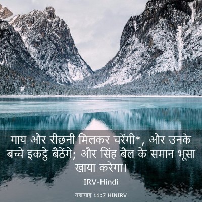 Picture 03 - यशायाह 11:7 HINIRV - गाय और रीछनी मिलकर - Bible Verse Picture