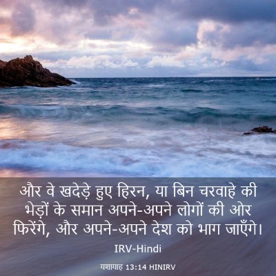 Picture 03 - यशायाह 13:14 HINIRV - और वे खदेड़े हुए - Bible Verse Picture