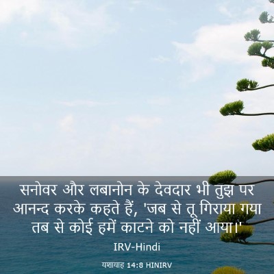 Picture 03 - यशायाह 14:8 HINIRV - सनोवर और लबानोन के - Bible Verse Picture