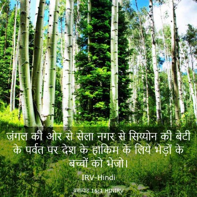 Picture 03 - यशायाह 16:1 HINIRV - जंगल की ओर से सेला - Bible Verse Picture