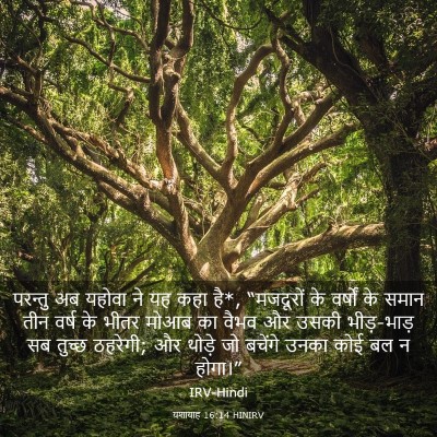 Picture 03 - यशायाह 16:14 HINIRV - परन्तु अब यहोवा ने - Bible Verse Picture
