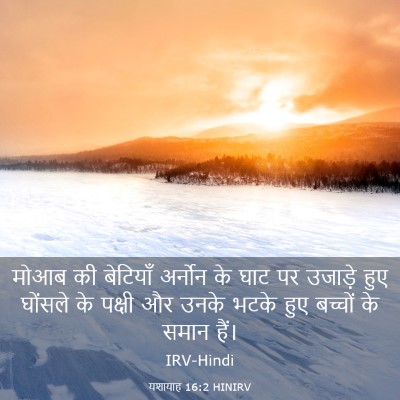 Picture 03 - यशायाह 16:2 HINIRV - मोआब की बेटियाँ - Bible Verse Picture
