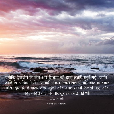 Picture 03 - यशायाह 16:8 HINIRV - क्योंकि हेशबोन के - Bible Verse Picture