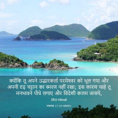 Picture 03 - यशायाह 17:10 HINIRV - क्योंकि तू अपने - Bible Verse Picture