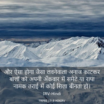 Picture 03 - यशायाह 17:5 HINIRV - और ऐसा होगा जैसा - Bible Verse Picture