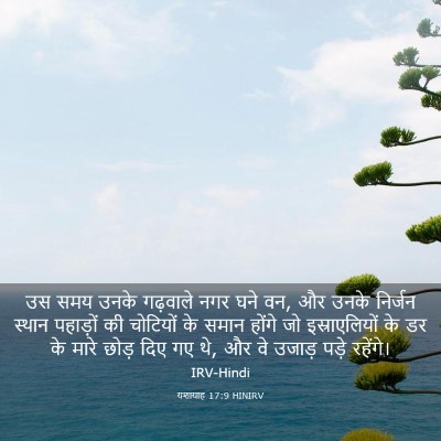 Picture 03 - यशायाह 17:9 HINIRV - उस समय उनके - Bible Verse Picture