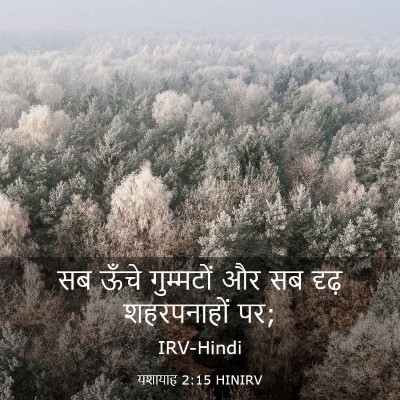 Picture 03 - यशायाह 2:15 HINIRV - सब ऊँचे गुम्मटों - Bible Verse Picture