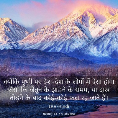 Picture 03 - यशायाह 24:13 HINIRV - क्योंकि पृथ्वी पर - Bible Verse Picture