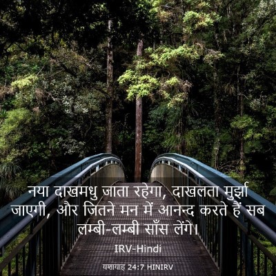 Picture 03 - यशायाह 24:7 HINIRV - नया दाखमधु जाता - Bible Verse Picture