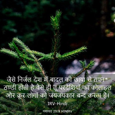 Picture 03 - यशायाह 25:5 HINIRV - जैसे निर्जल देश - Bible Verse Picture