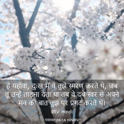 Picture 03 - यशायाह 26:16 HINIRV - हे यहोवा, दुःख में - Bible Verse Picture