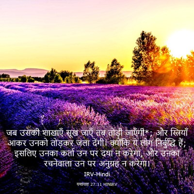 Picture 03 - यशायाह 27:11 HINIRV - जब उसकी शाखाएँ सूख - Bible Verse Picture