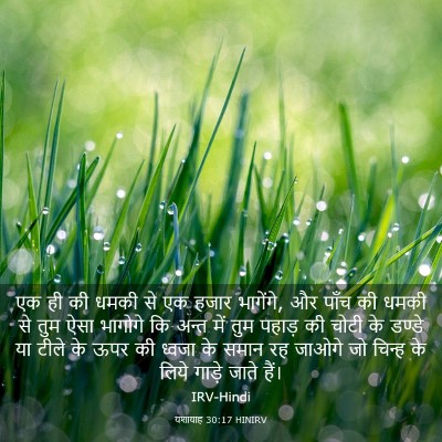 Picture 03 - यशायाह 30:17 HINIRV - एक ही की धमकी से एक - Bible Verse Picture