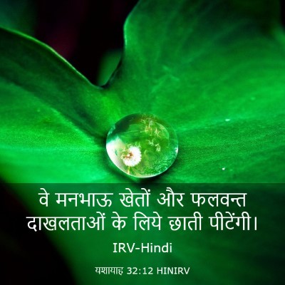 Picture 03 - यशायाह 32:12 HINIRV - वे मनभाऊ खेतों और - Bible Verse Picture