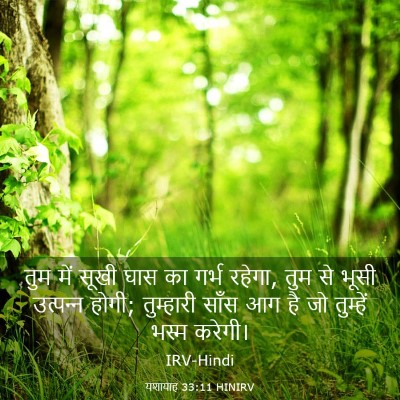Picture 03 - यशायाह 33:11 HINIRV - तुम में सूखी घास का - Bible Verse Picture