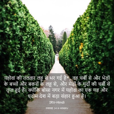 Picture 03 - यशायाह 34:6 HINIRV - यहोवा की तलवार लहू - Bible Verse Picture
