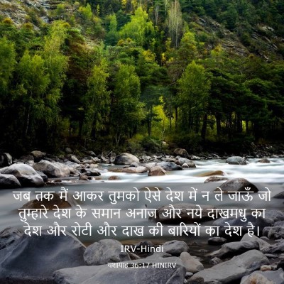 Picture 03 - यशायाह 36:17 HINIRV - जब तक मैं आकर तुमको - Bible Verse Picture