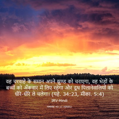 Picture 03 - यशायाह 40:11 HINIRV - वह चरवाहे के समान - Bible Verse Picture
