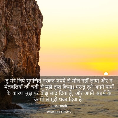 Picture 03 - यशायाह 43:24 HINIRV - तू मेरे लिये - Bible Verse Picture