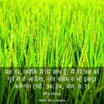 Picture 03 - यशायाह 43:5 HINIRV - मत डर, क्योंकि मैं - Bible Verse Picture