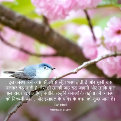 Picture 03 - यशायाह 5:24 HINIRV - इस कारण जैसे अग्नि - Bible Verse Picture