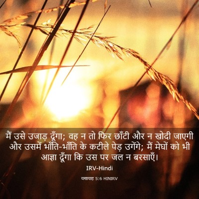 Picture 03 - यशायाह 5:6 HINIRV - मैं उसे उजाड़ - Bible Verse Picture