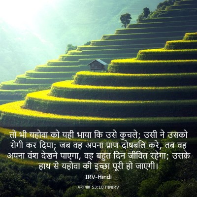 Picture 03 - यशायाह 53:10 HINIRV - तो भी यहोवा को यही - Bible Verse Picture