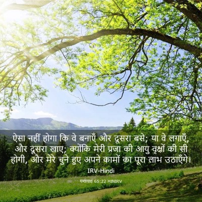 Picture 03 - यशायाह 65:22 HINIRV - ऐसा नहीं होगा कि वे - Bible Verse Picture